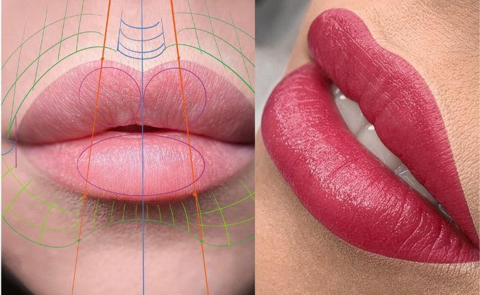 CURSO MICROPIGMENTACIÓN DE LABIOS FULL LIPS