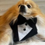 Amanda Evangeline Silva Ferreira